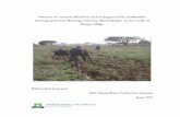 Patterns of nutrient allocation and management in ... Final.pdf · Patterns of nutrient allocation and management in smallholder farming system in Massingir District, Mozambique.