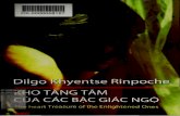 KHO TÀNG TÂM CỦA CÁC BẬC GIÁC NGỘtailieudientu.lrc.tnu.edu.vn/.../brief/...Khotangtamcuacacbacgiacngo.pdf · dge ba'i tam của Za Patrul Rinpoche đã được ấn hành