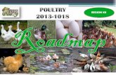 REGION XII - rfu12.da.gov.phrfu12.da.gov.ph/attachments/article/156/RoadMap_Poultry.pdf · region. Enhance capabilities of Production centers as source of Quality breeder stocks and
