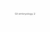 GI embryology 2.ppt - Med Study Groupmsg2018.weebly.com/uploads/1/6/1/0/16101502/gi-embryology-2.pdf · • Pyloric stenosis occurs when the circular and, to a lesser degree, the