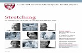 Stretching: 35 stretches to improve flexibility and reduce ...cdn. stretching than you might imagine