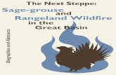 The Next Steppe: Sage-grouse and Rangeland Wildfire in the ... · 4 The Next Steppe: Sage-grouse and Rangeland Wildfire in the Great Basin Conference Matt Germino has been a Research