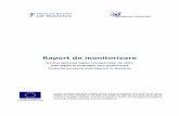 Raport de monitorizare - irt.ro · imens. Cele aproximativ 30 de miliarde de euro disponibile pentru a fi contractate din bugetul european în perioada 2007-13 şi cheltuite până