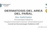 Castro DERMATOSIS DEL AREA DEL PAÑAL · dermatitis inflamatoria del ... a muslos, cara y tronco. hjpg. ENFERMEDA METABOLIC DES AS. ACRODERMATITIS ENACRODERMATITIS EN hjpg NTEROPATICA.