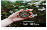 CISSA-ACSEI And OCASI dISCuSSIOn PAPEr: Charting a New ... Charting a... · CISSA-ACSEI and OCASI: Charting A New Direction 5 From the sector’s vantage point we see a growing need