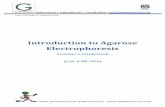 Introduction to Agarose Electrophoresis - G-Biosciences · Agarose gel electrophoresis is routinely used inmolecular biology and genetic engineering for the visualization, purification
