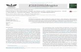 REVISTA BRASILEIRA DE Entomologia · Revista Brasileira de Entomologia 61 (2017) 359–364 REVISTA EntomologiaBRASILEIRA DE A Journal on Insect Diversity and Evolution Systematics,