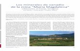Los minerales de vanadio de la mina “María Magdalena”rruff.info/uploads/Revista GMC-PARAGENESIS-1-2017-Ulldemolins-LR.pdf · PARAGÉNESIS / 2017-1 3 Joan ZÊÝ ½½ {Carles Zç