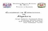 CUADERNO DE E DE Álgebra - paginaspersonales.unam.mxpaginaspersonales.unam.mx/files/472/CUADERNO_EJERCICIOS_ALGEBRA.pdf · Ejercicios resueltos.....220 Ejercicios propuestos ...