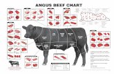 Angus Beef Chart · ANGUS BEEF CHART Rib Roast Rib Steak Ribeye Roast Ribeye Steak Back Ribs Beef for Stew Short Ribs Ground Beef Skirt Steak C2, C3 Q Top Loin Steak Tenderloin Roast