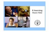 E-learning from FAO - United Nations Universityarchive.unu.edu/elearning/workshop_200811/files/008_FAO.pdf · FAO –E-learning •e-learning lessons used as part of synchronous courses
