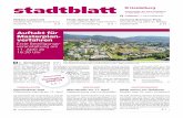 Auftakt für Masterplan- verfahrenww2.heidelberg.de/stadtblatt/2018/2018_15_stablakompl.pdf · sage ganz leicht bestätigen. Dass gebaut werden muss, ist mittler - weile Konsens.