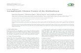 Case Report Asymptomatic Glomus Tumor of the · PDF fileCase Report Asymptomatic Glomus Tumor of the Mediastinum MeletiosKanakis, 1 NikolettaRapti, 1 MariaChorti, 2 andAchilleasLioulias