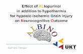 Effect of ALlopurinol in addition to hypothermia for ...neonatus.org/wp-content/uploads/2016/10/ALBINO-Project_A.-Franz.pdf · Effect of ALlopurinol in addition to hypothermia for
