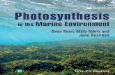 Photosynthesisinthe - download.e-bookshelf.de filevi Contents Chapter5 Lightreactions 67 5.1 Photochemistry:excitation,de-excitation,energytransferand primaryelectrontransfer 67 5.2