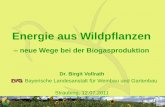 Energie aus Wildpflanzen - saaten-zeller.de · ADL 0,8 35% 1,0 0 100 200 300 400 500 Pulling 31/08 Würzburg 31/08 Würzburg 34/08 Würzburg 34/08 Würzburg 34/09 Würzburg 37/09