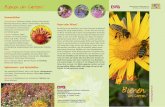 Bienen im Garten! - LWG · Ein Garten ist ein Stück Natur, vom Menschen gestaltet, und je-der freut sich dort über blühende Pﬂ anzen und das reifende Obst. Der Gartenbesitzer