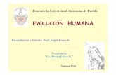 Recopilación y Edición Prof. Angel Bravo A. · 7. ¿Cómo fue variando el tamaño del cerebro de los individuos del género Homo? 8. ¿Cuál fue el primer Homo que utilizó herramientas?¿y