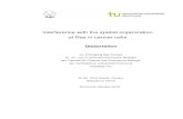 Interference with the spatial organization of Ras in ... · Interference with the spatial organization of Ras in cancer cells Dissertation zur Erlangung des Grades Dr. rer. nat. in