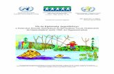 Víz és Egészség Jegyzőkönyvoki.antsz.hu/documents/viz_jegyzokonyv.pdf · A Határokat Átszelő Vízfolyások és Nemzetközi Tavak Védelméről és Használatáról szóló