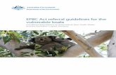 EPBC Act referral guidelines for the vulnerable koalaenvironment.gov.au/.../files/koala-referral-guidelines.pdf · 2 /EPBC Act referral guidelines for the vulnerable koala E. camaldulensis,