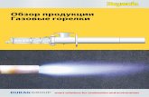 Обзор продукции Газовые горелки · gb6/7 Интегрированная пилотная горелка zda0... и монитор пламени (или