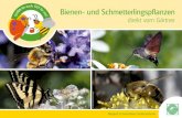 Bienen- und Schmetterlingspflanzen · Bienen wohnhaft: hohle Stängel, morsches Holz, offene und trockene Bodenflä - chen, Nützlingshotel Bienen gelten als das drittwichtigs - te