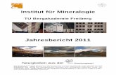 Institut für Mineralogie - tu-freiberg.detu-freiberg.de/.../pdf/jahresbericht_mineralogie_2011.pdf · Institut für Mineralogie – Jahresbericht 2011 4 Werner Rechtswissenschaften,
