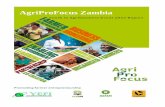 AgriProFocus Zambia · - AgriProFocus – Janny Nyendwa (Currently engaged in an internship at AgriProFocus Zambia) The winners from Amatheon Agri, BDSA and AgriProFocus were awarded