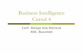 Business Intelligence Cursul 4sinf.ase.ro/cursuri/ia/Cursul 4 master 2017.pdf · Formatul este fix, definit de cel ce proiecteaza raportul in momentul crearii Adesea realizeaza calcule
