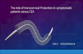 The role of transcervical Protection in symptomatic ... · The role of transcervical Protection in symptomatic patients versus CEA RALF KOLVENBACH . Conflict of Interest: None. Low