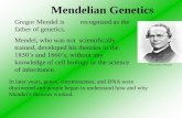 Mendelian Genetics - gatotciptadi.lecture.ub.ac.id · 16 FINAL TEST . Mendel’s experiments dealt with the relationship between an organism’s genotype and its phenotype. Genotype