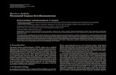 Review Article NeonatalLupusErythematosusdownloads.hindawi.com/journals/ad/2012/301274.pdf · matitis, neonatal acne, tinea corporis, psoriasis, granuloma annulare, erythema multiforme,