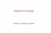 Chapter 7: The Nervous System - Amazon S3 Courses/Medical Terminology... · Neurons, or nerve cells, carry out the functions of the nervous system by conducting nerve impulses. They