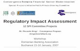 Regulatory Impact Assessment - SPI Romaniaspi-romania.eu/admin/filemanager/files/ria/may2007/projects... · Special Pr oj ec t s Init iat ive Publ ic-Pr ivat e St eer ing Commit t