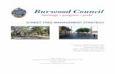 STREET TREE MANAGEMENT STRATEGY - Burwood Council · Burwood Council’s Street Tree Management Strategy (The Strategy) provides a framework for the management of street trees within