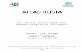 World Healtnh Organization ATLAS KUSTA KUSTA.pdf · healing and slight atrophy. Loss of hair, and anhidrosis may be present. Definitesensory loss or anesthesia is demonstrable. Bacteriologic