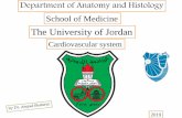 Department of Anatomy and Histology School of Medicine · Department of Anatomy and Histology School of Medicine The University of Jordan 2019 Cardiovascular system. 10/26/2019 Dr.