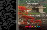 Tourist Guide Chiapas · minutes and is a brief tour of colors and traditions of Chiapas. Jardín Botánico Faustino Miranda (Botanical Garden) - Occupies 4.4 hectares along the Sabinal