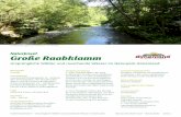 Naturjuwel Große Raabklamm - Naturparke Steiermark · Berg-Ahorn und Esche (Fraxinus excel-sior) hinzu, vereinzelt auch Hainbuche (Carpinus betulus). Die Strauchschicht ist ebenso