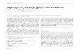 Mechanisms for Eliminating Monoterpenes of Sagebrush by ... · taining PSMs must limit the absorption of PSMs and rapidly and efficiently detoxify and eliminate them. Although spe-