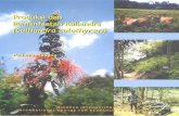 Calliandra Field Manual-old.worldagroforestry.org/sea/Publications/files/manual/... · 2015-03-20 · Tumpang sari kaliandra dengan jagung – Foto oleh James M. Roshetko ..... 25