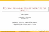 Dynamics of families of maps tangent to the identitydcheragh/PPAD/slides/Abate.pdf · DYNAMICS OF FAMILIES OF MAPS TANGENT TO THE IDENTITY Marco Abate Dipartimento di Matematica Università