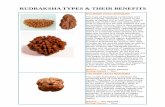 RUDRAKSHA TYPES & THEIR BENEFITS · Kalratri, Maha Gauri & Siddhi Datri) reside in this Rudraksha and hence, the wearer of this Rudraksha is blessed by all of them. This Rudraksha
