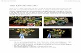 Triển Lãm Đầu Năm 2015 - Hoa Lan Viet Nam · Hội hoa, Nhiếp Ảnh, Cắm Hoa và Nghệ thuật trên gỗ. Hội Hoa Lan Việt Nam Phòng này lúc nào cũng đông