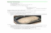 Egyszerű fehérkenyér - Deboradebora.hu/receptek/egyutt.pdf- hajtogatott élesztős tészta - túrós tá. ska, búrkifli, töpörtyűs pogácsa. A Dr. Oetker Burgonyástészta alappor