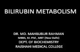 Bilirubin metabolism - rmc.gov.bdrmc.gov.bd/notice_panel/upload_notices/Bilirubin_ ¢  kidney where it