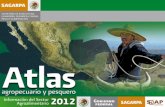 Atlas agropecuario y pesquero 2012 - UNAMdepa.fquim.unam.mx/amyd/archivero/Atlasagropecuario2012_33135.pdf · Atlas del agropecuario y pesquero 2012 La producción anual de maíz