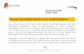 Nieuwsbrief 58 Zomer 2011 - Vlaanderen · Het melkachtige sap kan huid- en slijmvliesirritatie veroorzaken bij contact. In geval van opname ziet men braken, diarree, krampen, maag-darmontstekingen,