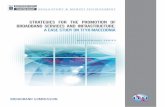 Place des Nations broadband services and infrastructure: A ... · Strategies for promotion of broadband services and infrastructure: a case study on TFYR Macedonia 2 Macedonia’s
